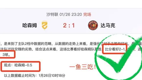 NBA三连赛9胜6负 巫师主场击退速龙